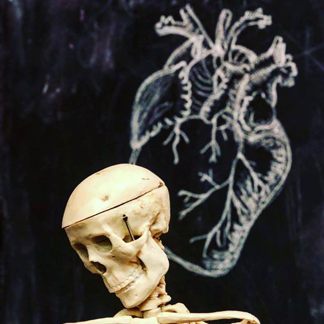 skeleton, heart